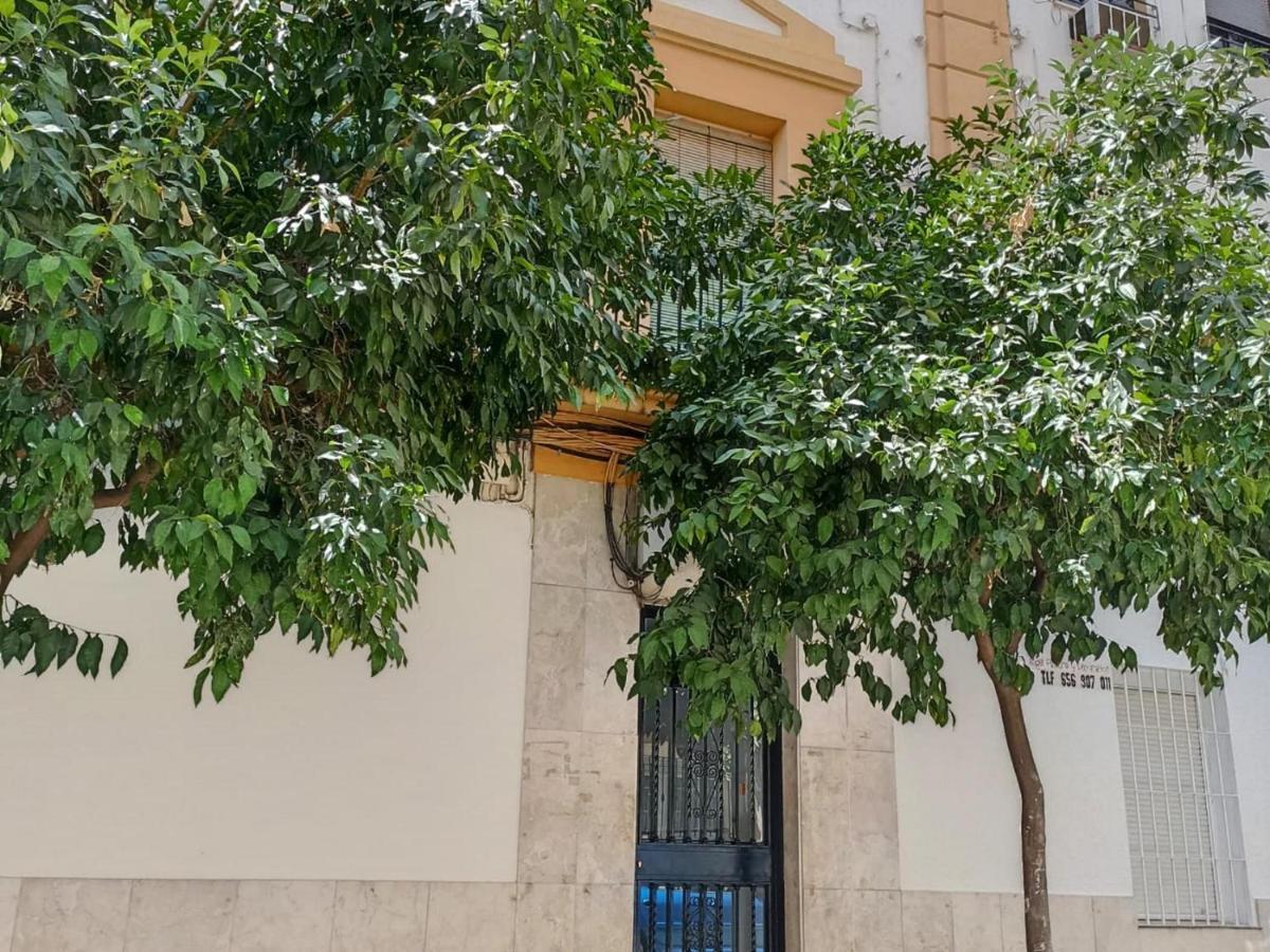 Modernos Apartamentos En Ciudad Jardin Кордова Экстерьер фото